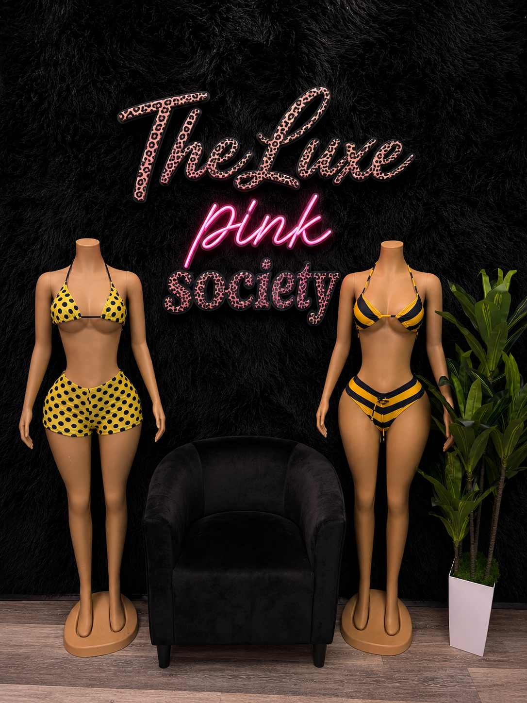 Yellow barb bikinis